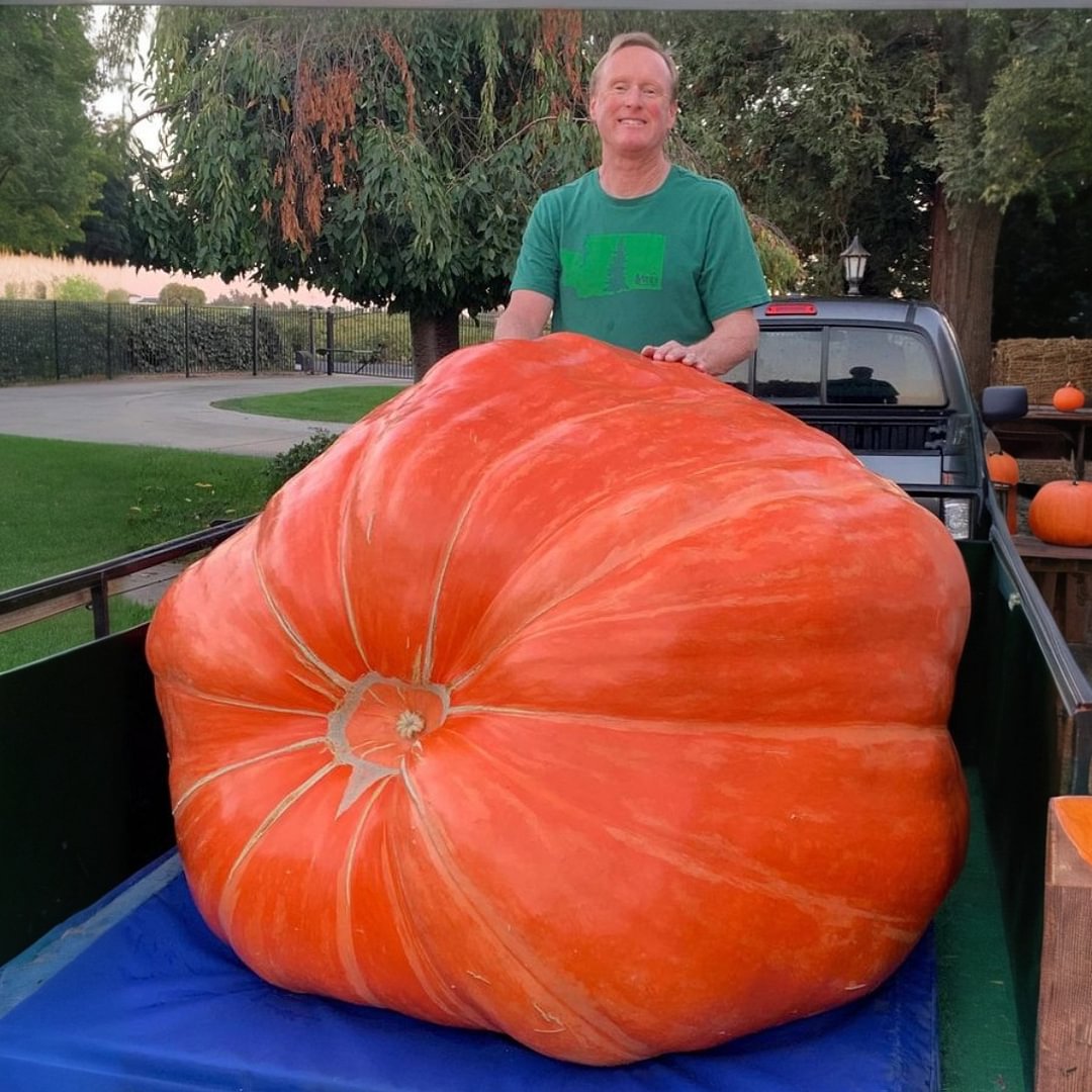 🔥 Organic giant fruits and vegetables