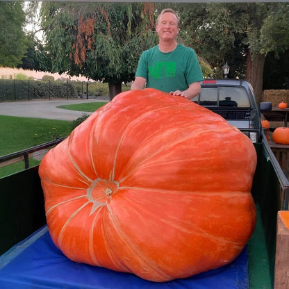 🔥 Organic giant fruits and vegetables