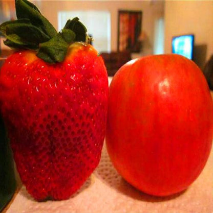 🍓Super Giant Strawberry Seeds