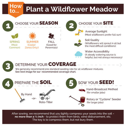 Shorty Low-Grow Wildflower Seed Mix