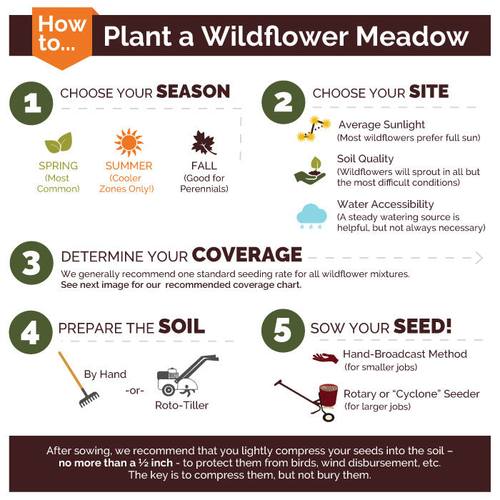 Midwest Wildflower Seed Mix