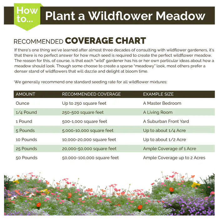 First Year Flowering Perennial Wildflower Seed Mix