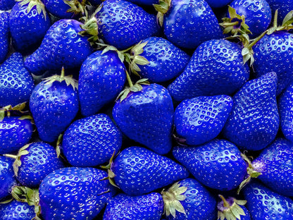 800+ Mix Strawberry Seeds for Planting - Heirloom Non-GMO Red Yellow Blue White Climbing Strawberry