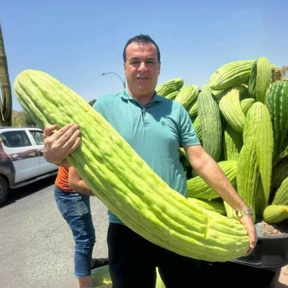 🔥 Organic giant fruits and vegetables