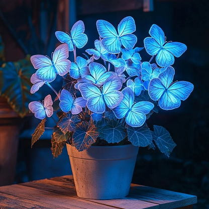 Begonia 'Moonlight Butterfly'