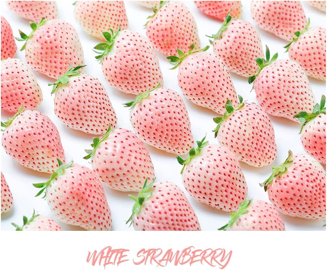 800+ Mix Strawberry Seeds for Planting - Heirloom Non-GMO Red Yellow Blue White Climbing Strawberry