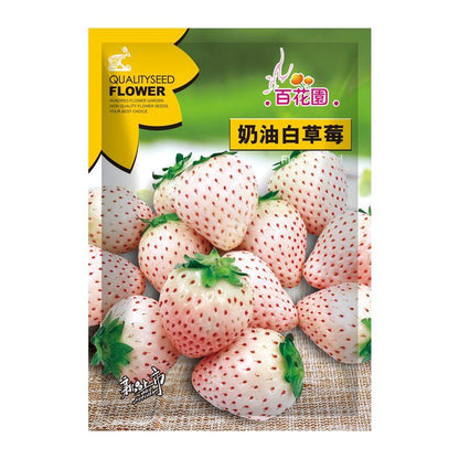 1 Bag Rare Milk Strawberry Seeds