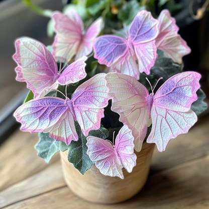 Begonia 'Meteor Butterfly'