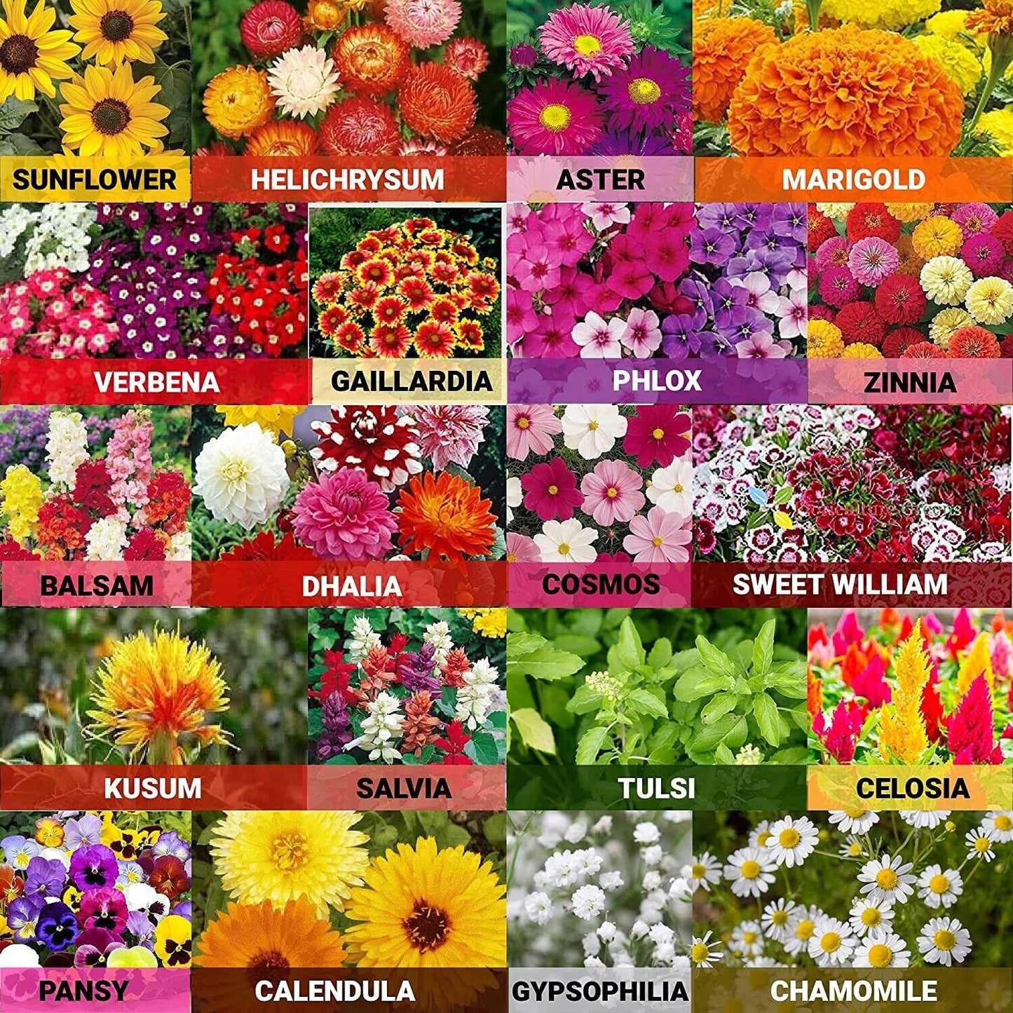 Country Garden Flower Mixed Seeds for Planting