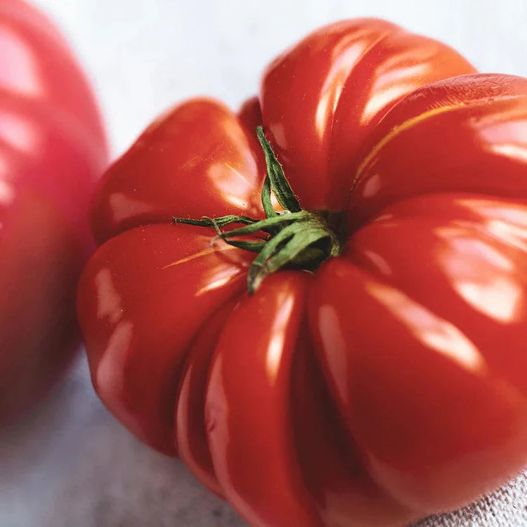 GIANT DELICIOUS TOMATO / UP TO 2KG