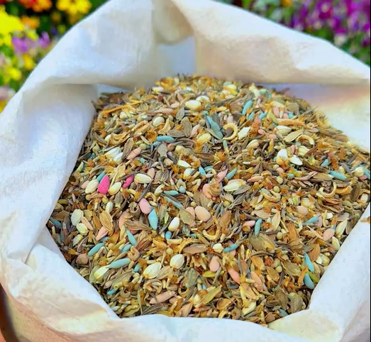 Perennial Flowers Seeds-Over 60 kinds mixed