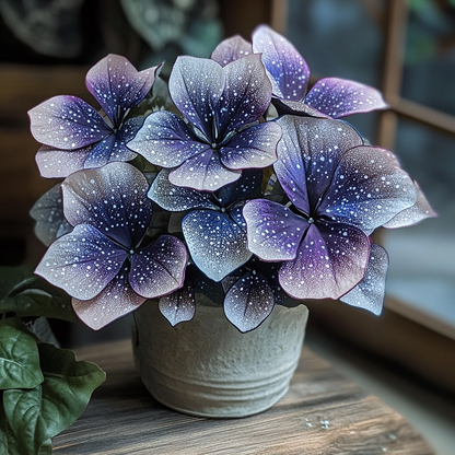 Charming Butterfly Plant (Oxalis triangularis)