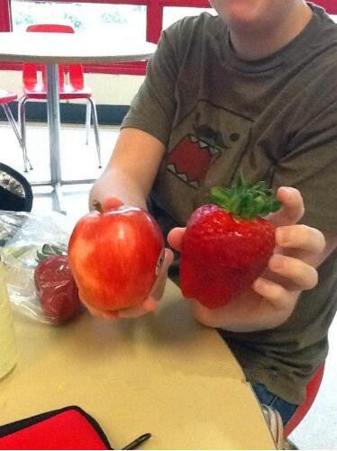 🍓Super Giant Strawberry Seeds