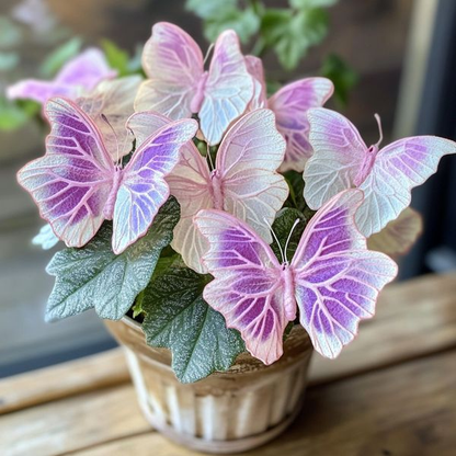 Begonia 'Meteor Butterfly'