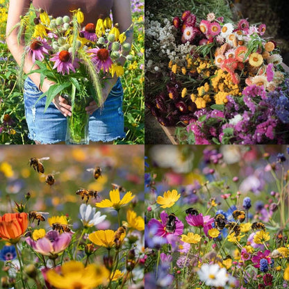 Perennial Flowers Seeds-Over 60 kinds mixed