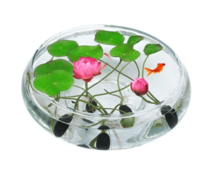 The Sacred Bonsai Lotus Flower